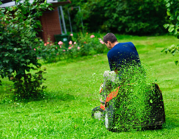 Jardinage et petits travaux